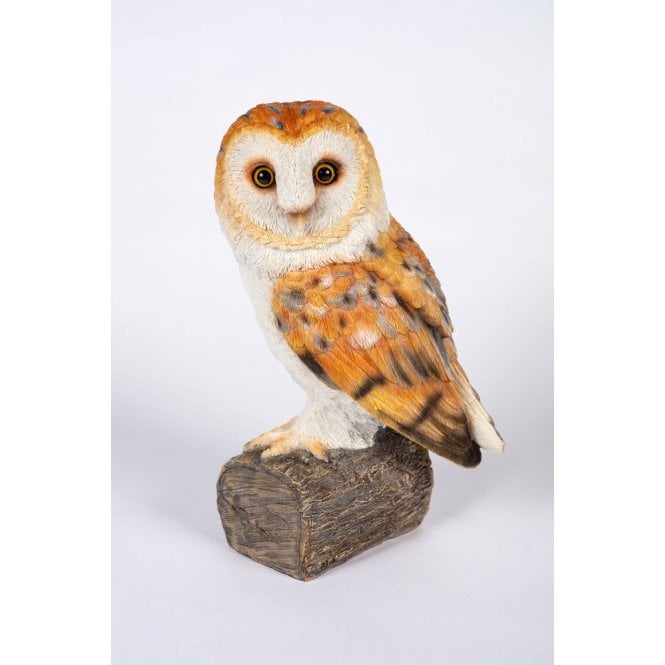 Garden Creations Baby Barn Owl