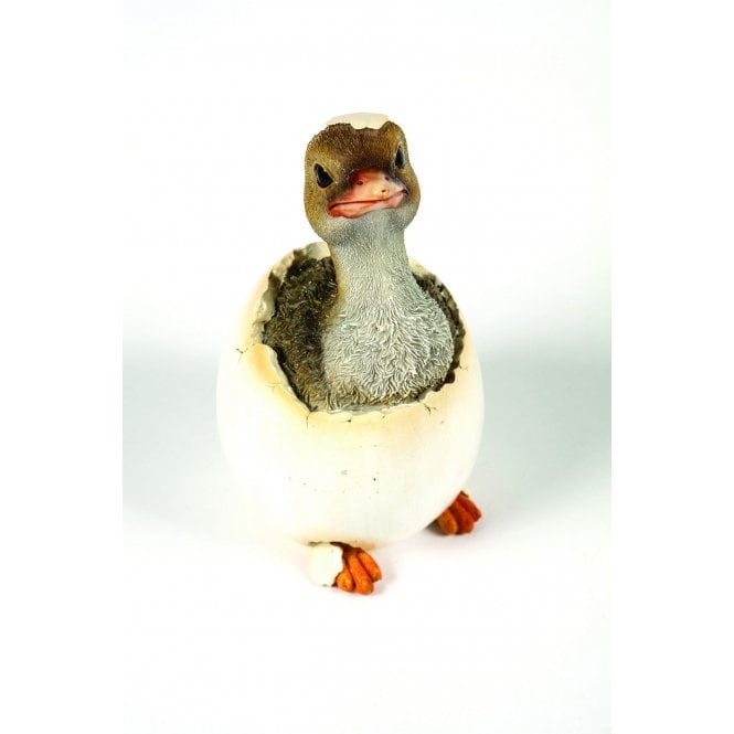 Garden Creations Baby Ostrich Hatching