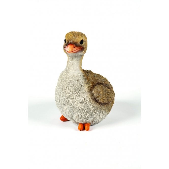 Garden Creations Baby Ostrich
