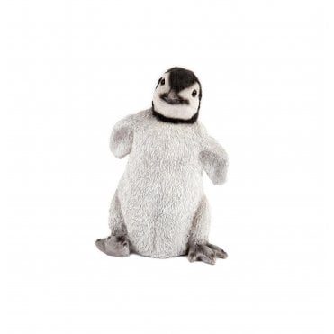 Baby Penguin