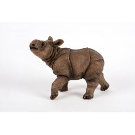 Baby Rhino