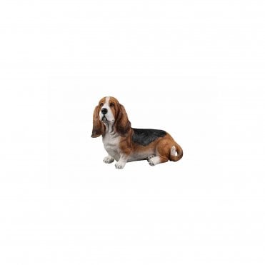 Basset Hound Lying