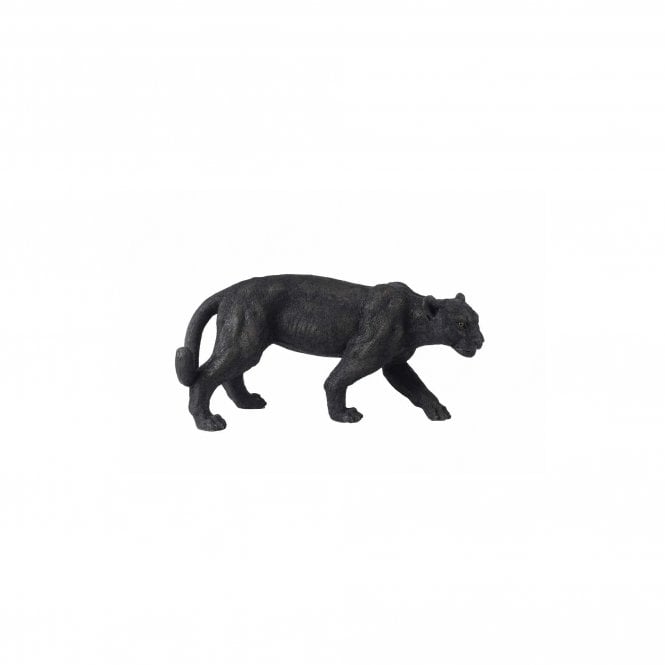 Garden Creations Black Panther