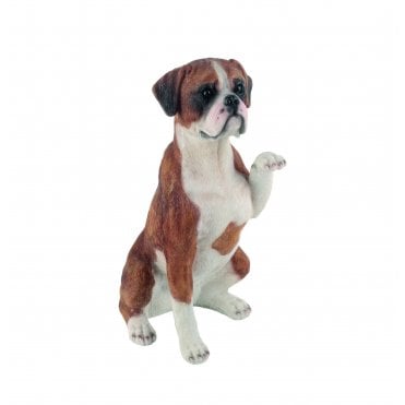 Boxer Dog Raising Paw
