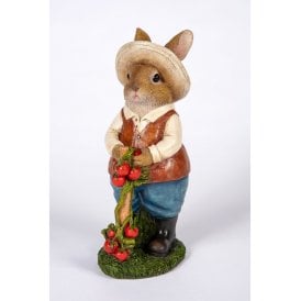 Boy Rabbit Medium Gathering Tomatoes
