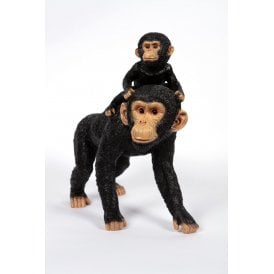 Chimpanzee & Baby