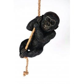 Climbing Baby Gorilla