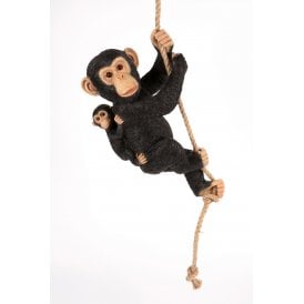 Climbing Chimpanzee & Baby