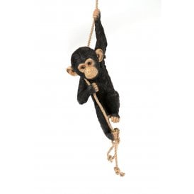 Climbing Chimpanzee