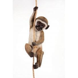Climbing Monkey