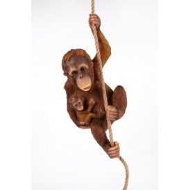Climbing Orangutan & Baby