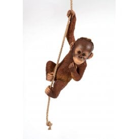 Climbing Orangutan