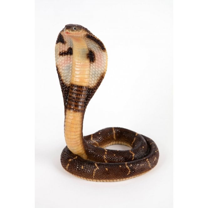 Garden Creations Cobra