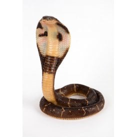 Cobra