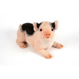 Crouching Piglet
