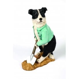 Digging Collie