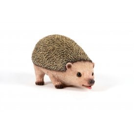 Drinking Hedgehog