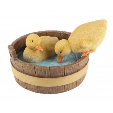 Ducklings in Barrel