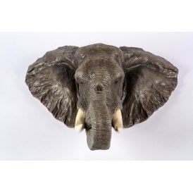Elephant Head Wall Dacor