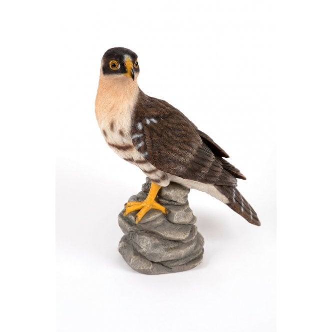 Garden Creations Falcon