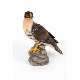 Falcon