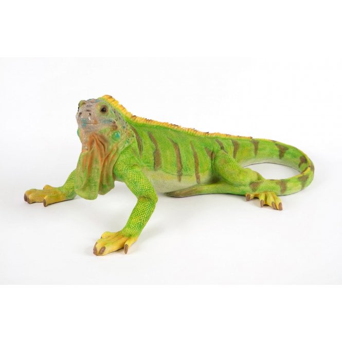 Garden Creations Frilled Lizard