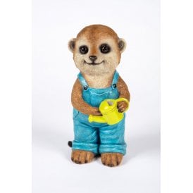 Gardening Boy Meerkat