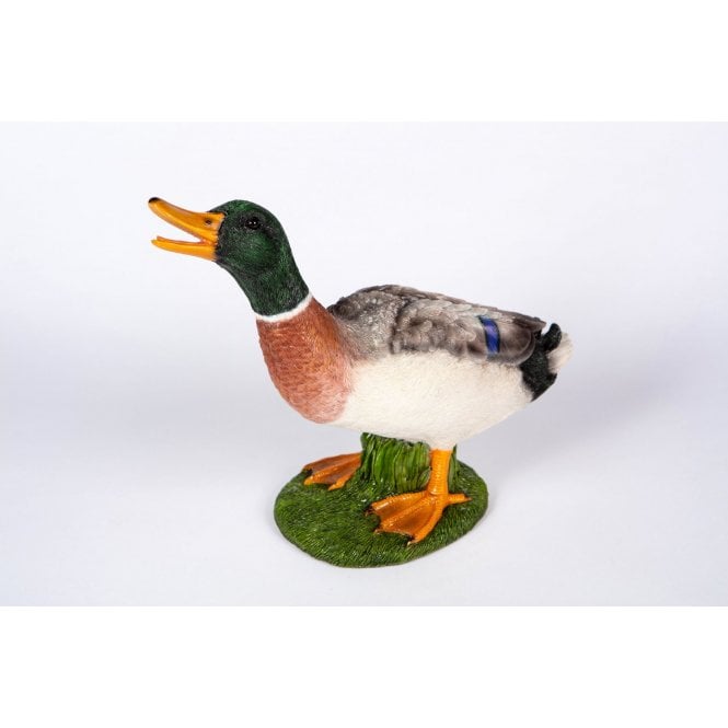 Garden Creations Gazing Mallard Duck