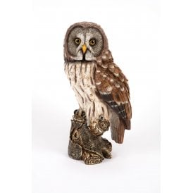 Great Grey Owl
