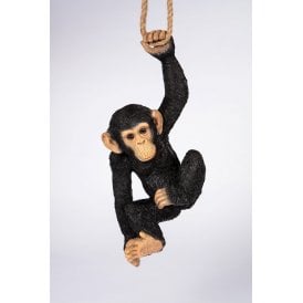 Hanging Chimp