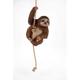 Hanging Sloth