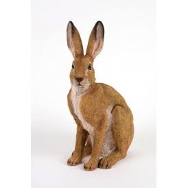 Hare