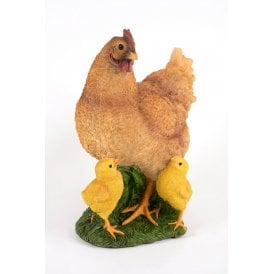 Hen & 2 Chicks