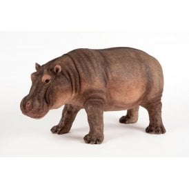 Hippo