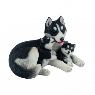 Husky Family