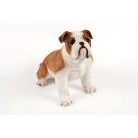 Johnson Bulldog