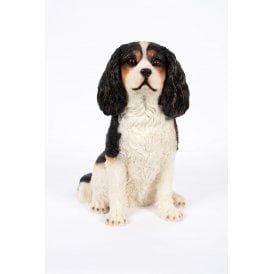 King Charles Sitting
