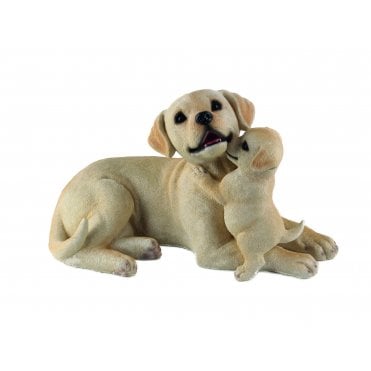 Labrador with Pup