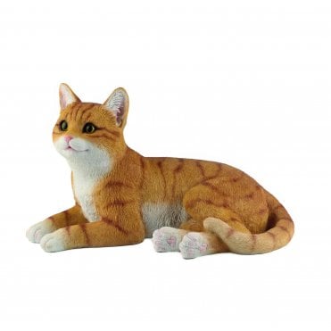 Laying Ginger Cat