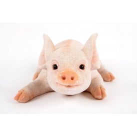 Laying Pig