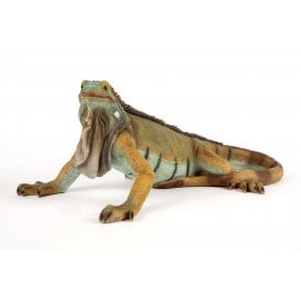 Lizard