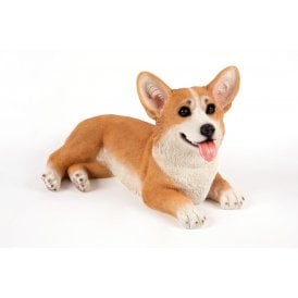 Lying Corgi