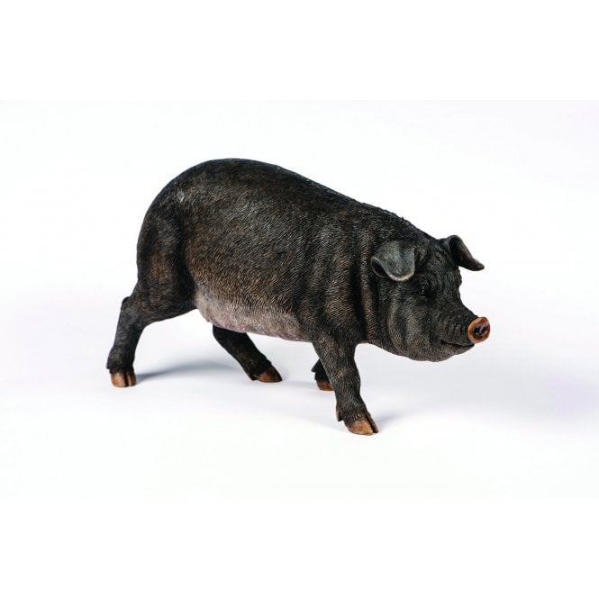 Garden Creations Medium Black Pig