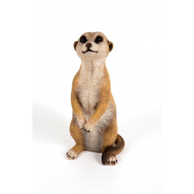 Garden Creations Meerkat
