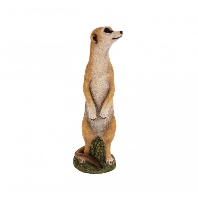 Garden Creations Meerkat