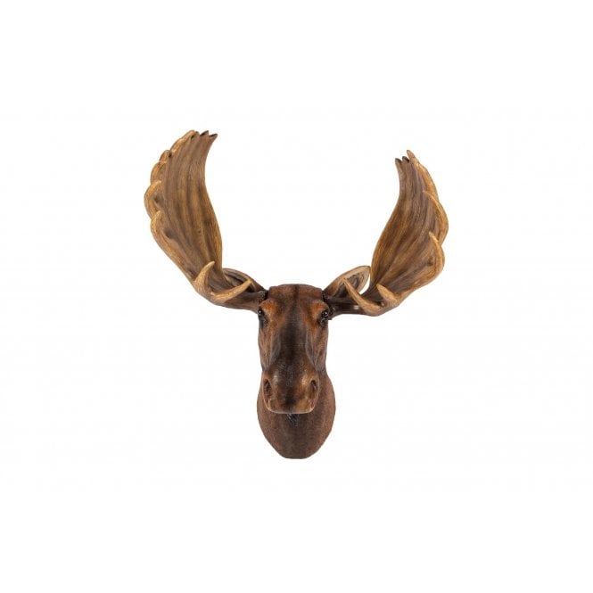 Garden Creations Moose Head Wall DÃƒ©cor