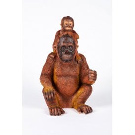 Orangutan & Baby