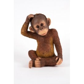 Orangutan
