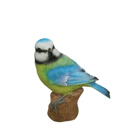 Perched Blue Tit