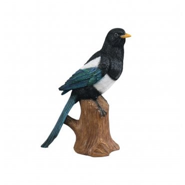 Perched Magpie